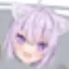 Collection uploader avatar