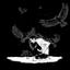 Collection uploader avatar