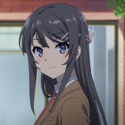User profile picture