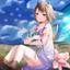 Collection uploader avatar