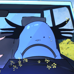 User profile picture