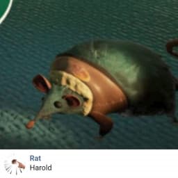 User profile picture