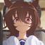 Collection uploader avatar