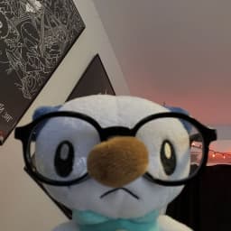 User profile picture