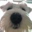 Collection uploader avatar