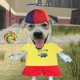 User profile picture
