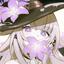 Collection uploader avatar
