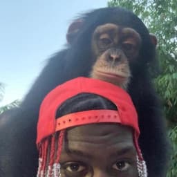 User profile picture