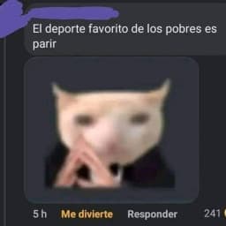 User profile picture