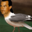 Collection uploader avatar