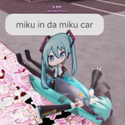 User profile picture