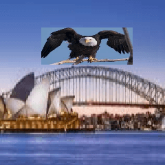 User profile picture