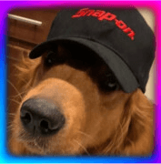 User profile picture