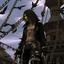 Collection uploader avatar