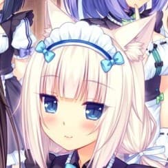 User profile picture