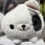 Collection uploader avatar