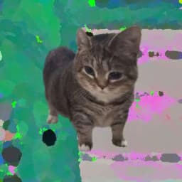 User profile picture