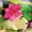 Collection uploader avatar