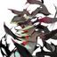 Collection uploader avatar