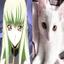 Collection uploader avatar