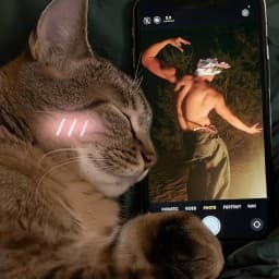 User profile picture