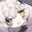 Collection uploader avatar