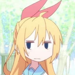 User profile picture