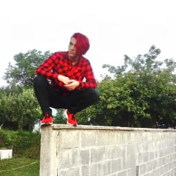 User profile picture