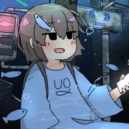User profile picture
