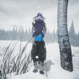 User profile picture