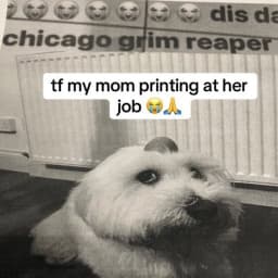 User profile picture