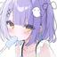 Collection uploader avatar