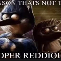 User profile picture