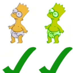 User profile picture