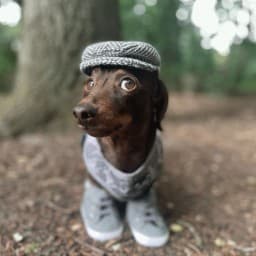 User profile picture