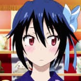 User profile picture