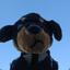 Collection uploader avatar