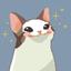 Collection uploader avatar