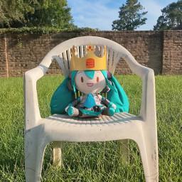 User profile picture