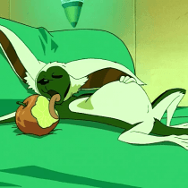 User profile picture