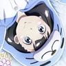 Collection uploader avatar