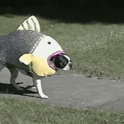 User profile picture