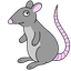 Collection uploader avatar