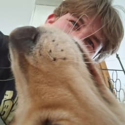 User profile picture