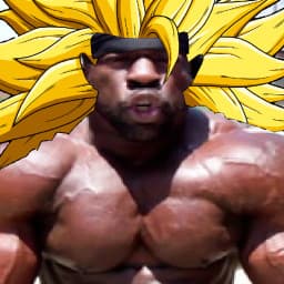 User profile picture