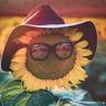 Collection uploader avatar