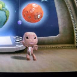 User profile picture