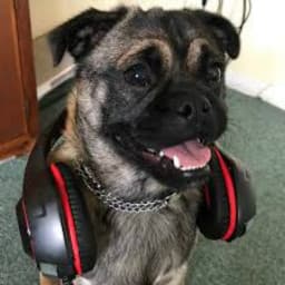 User profile picture