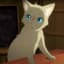 Collection uploader avatar