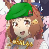 User profile picture